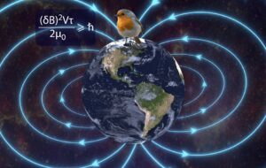 Approaching the quantum limit of energy resolution in animal magnetoreception